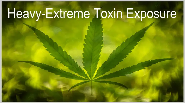 Heavy - Extreme Toxin Exposure Detox Program Reviews