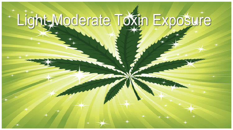 Light - Moderate Toxin Exposure Detox Program Reviews