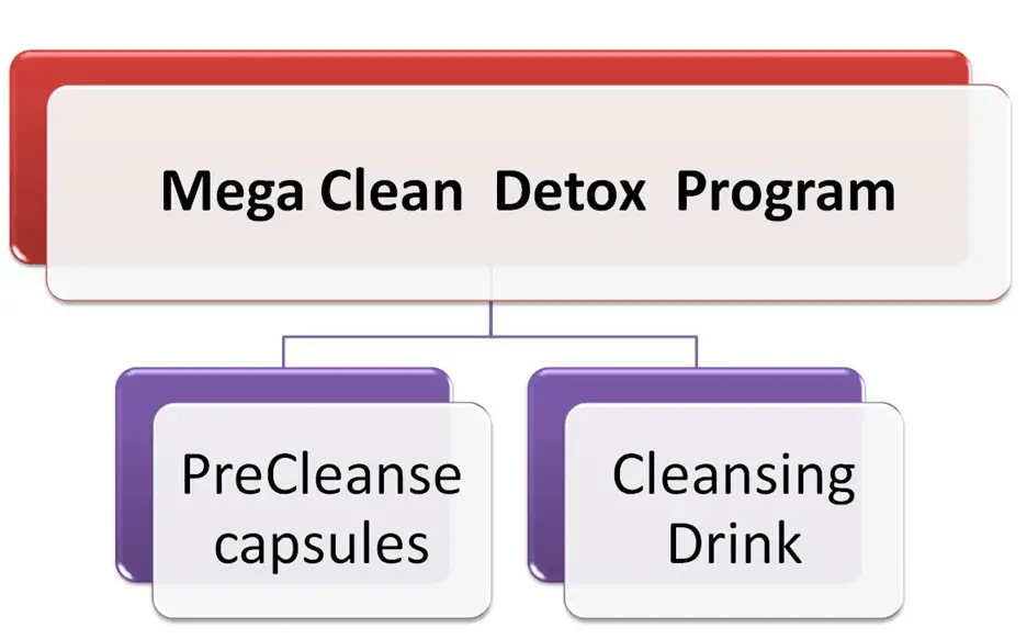 MEGA Clean Detox Components