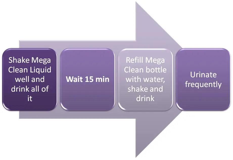 MEGA Clean Detox Instructions