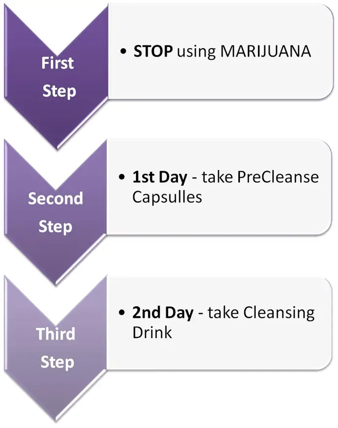 4 Day Detox Thc Diet