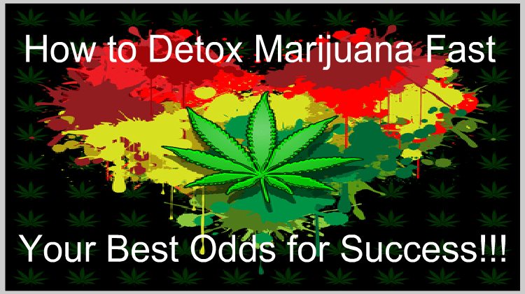 How to Detox Marijuana Fast - Your Best Odds for Success