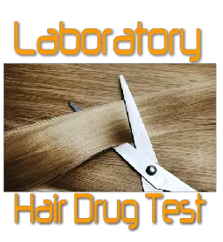Lab Hair Drig Test 1