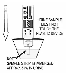 Urine test 2