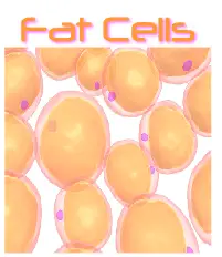 Fat cells 1