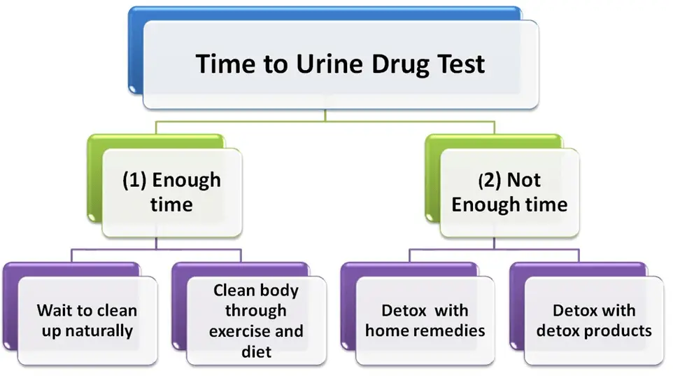 How Long Does Weed (THC) Stay in Your Urine? Everything You Need to Know