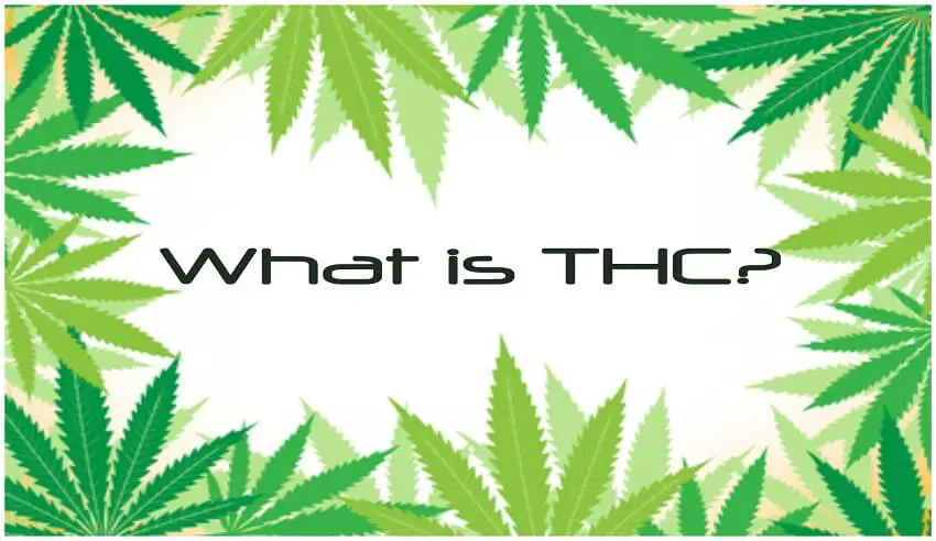 What is THC?