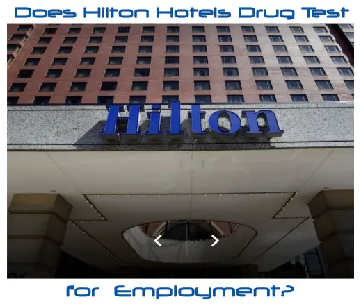 Does Hilton Hotels and Resorts Drug Test for Employment?