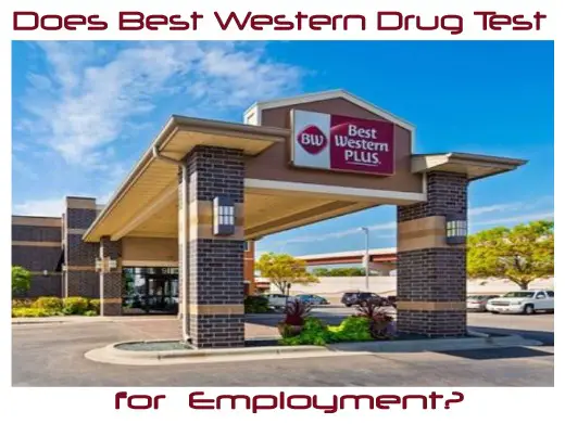 Does Best Western Drug Test for Pre-employment?