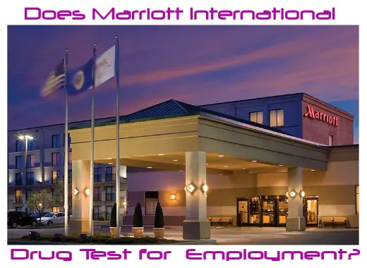 Does Marriott International Drug Test for Employment?
