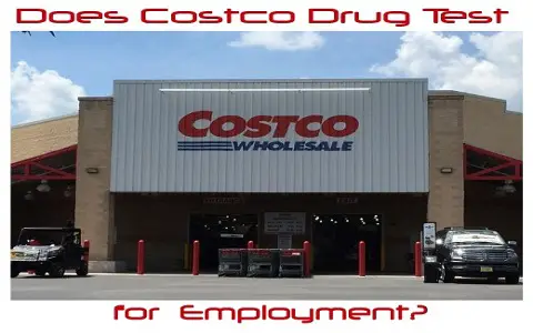 Does Costco Drug Test for Employment in 2025? Be Prepared