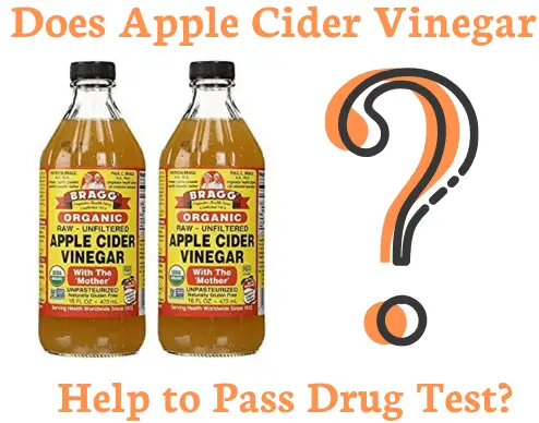 Does Apple Cider Vinegar Help to Pass Drug Test?