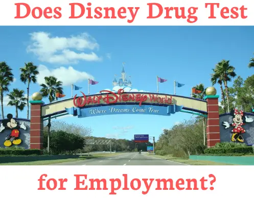 Does Disney Drug Test for Employment?