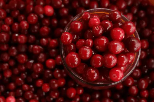  Cranberries