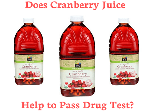 Does Cranberry Juice Help to Pass Drug Test?