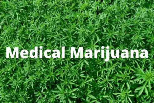 Medical Marijuana