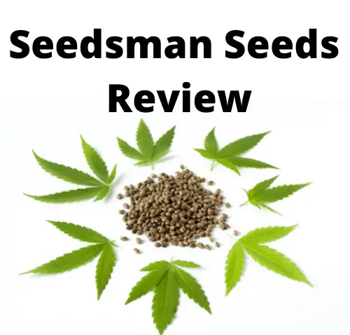 Seedsman Seeds Review