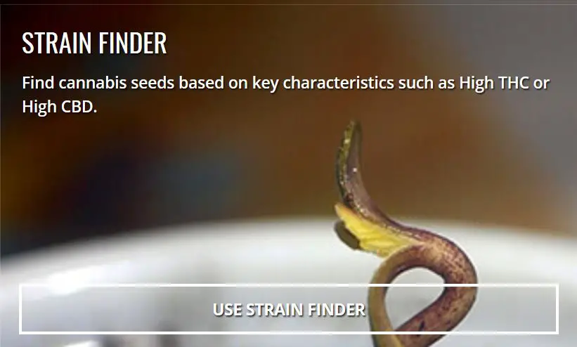 Seedsman Seeds strain finder