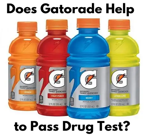 Does Gatorade Help to Pass Drug Test?
