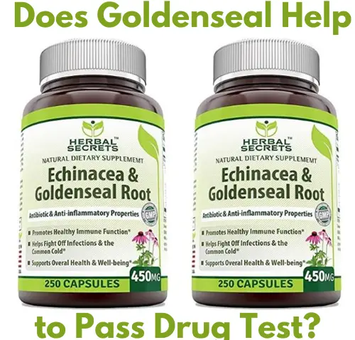 Does Goldenseal Help to Pass Drug Test?