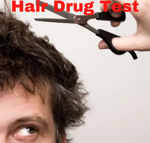 Detoxing Body for a Hair Drug Test