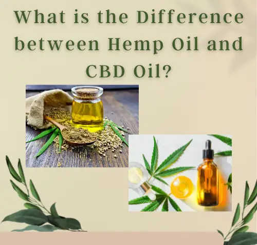 What Is the Difference between Hemp Oil and CBD Oil