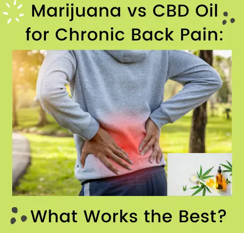 Marijuana vs CBD Oil for Chronic Back Pain-What Works the Best?