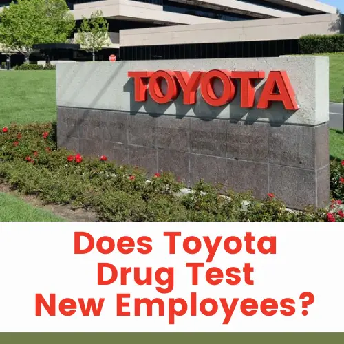 Does Toyota Drug Test New Employees?