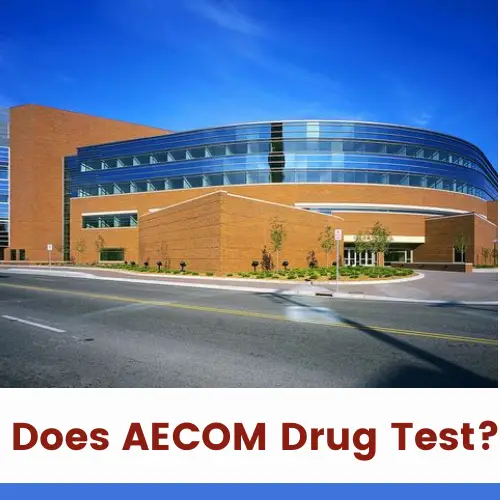 Does AECOM Drug Test for Employment?