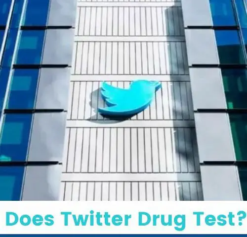 Does Twitter Drug Test Employees?