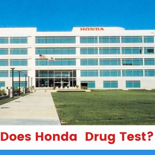 Does Honda Drug Test Employees