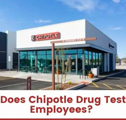 Does Chipotle Drug Test Employees