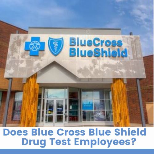 Does Blue Cross Blue Shield Drug Test Employees?